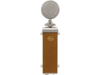 Blue Cactus Blue Cactus